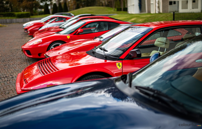 Ferrari Foto Colourful Multimedia (40).jpg