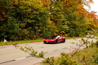IMG 3735 (4538 visits) IMG 3735