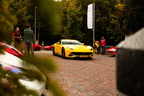 IMG 3677